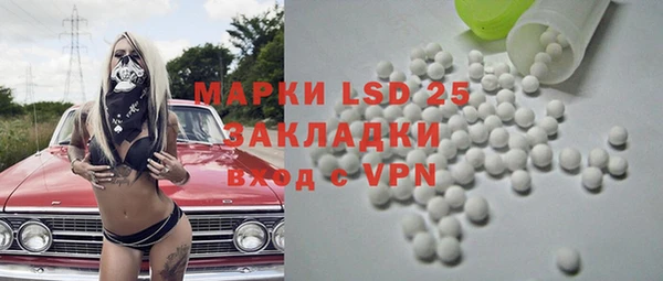 spice Аркадак
