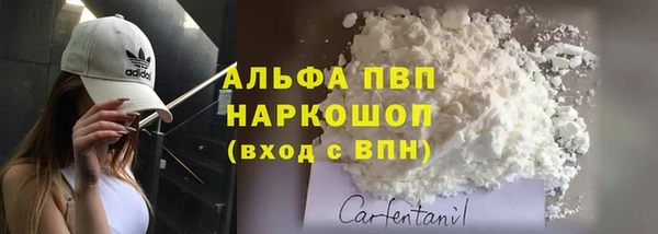 прущие грибы Армянск