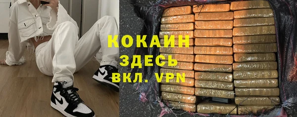прущие грибы Армянск