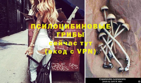 spice Аркадак
