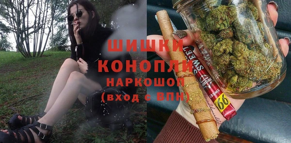 прущие грибы Армянск