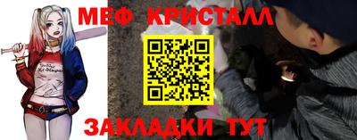 амф Кингисепп