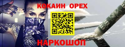 амф Кингисепп