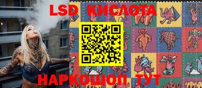 амф Кингисепп