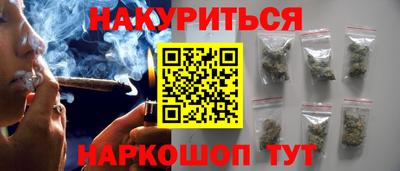 амф Кингисепп