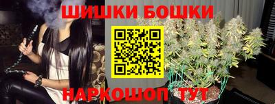 амф Кингисепп