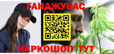 амф Кингисепп