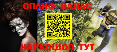 СК Кимры