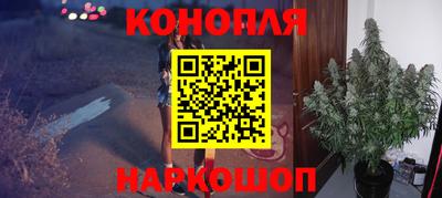 СК Кимры