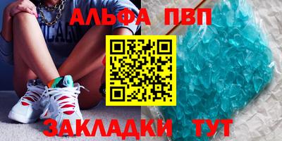 амф Кингисепп