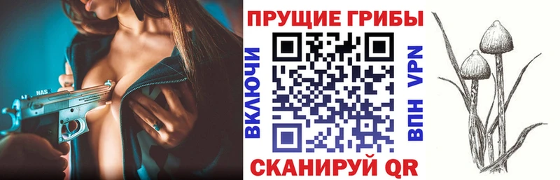 Галлюциногенные грибы мицелий  Строитель 
