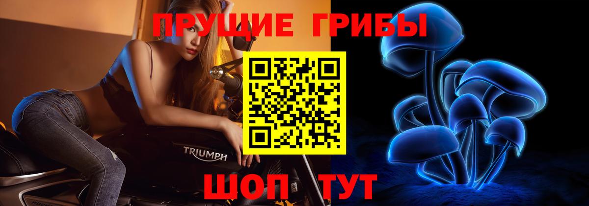 Псилоцибиновые грибы прущие грибы Строитель